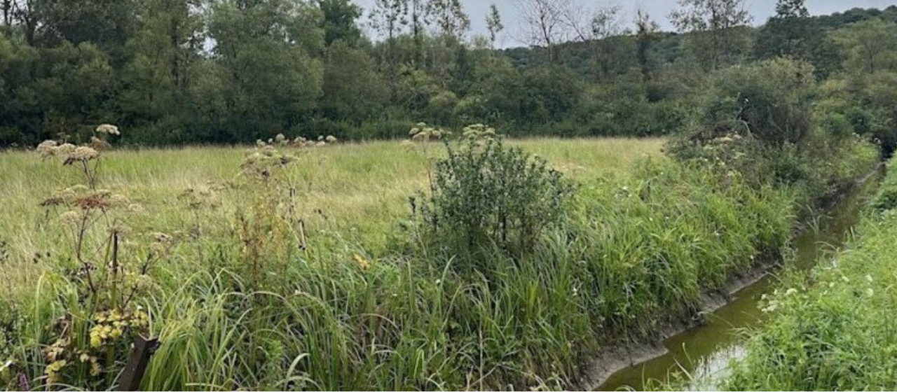 Foto Ontwerpen van een volledige agro-ecologische boerderij