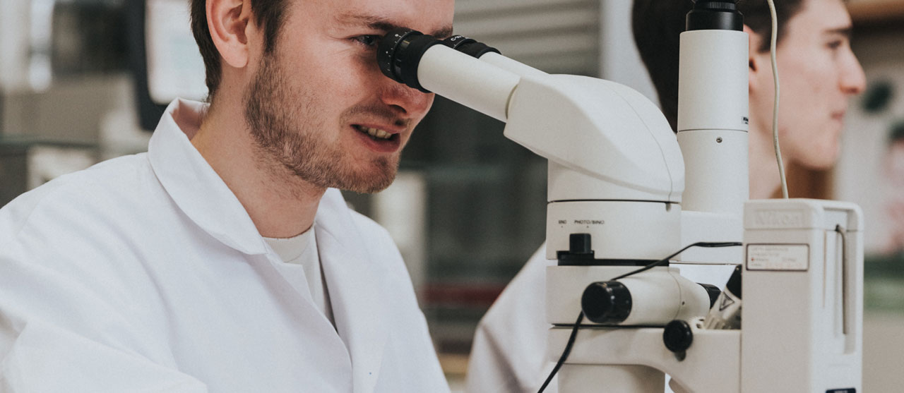 Een student uit de bachelor biomedische laboratoriumtechnologie van HOGENT analyseert cellen onder een microscoop.