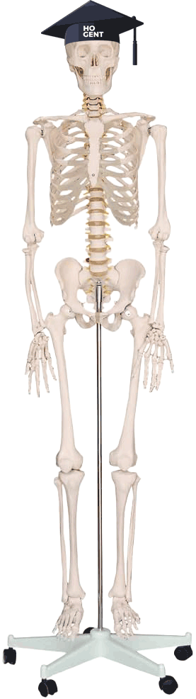 Geanimeerde GIF van John Doe-Niks, een skelet met een HOGENT-afstudeerhoedje op, waarvan het touwtje heen en weer beweegt.