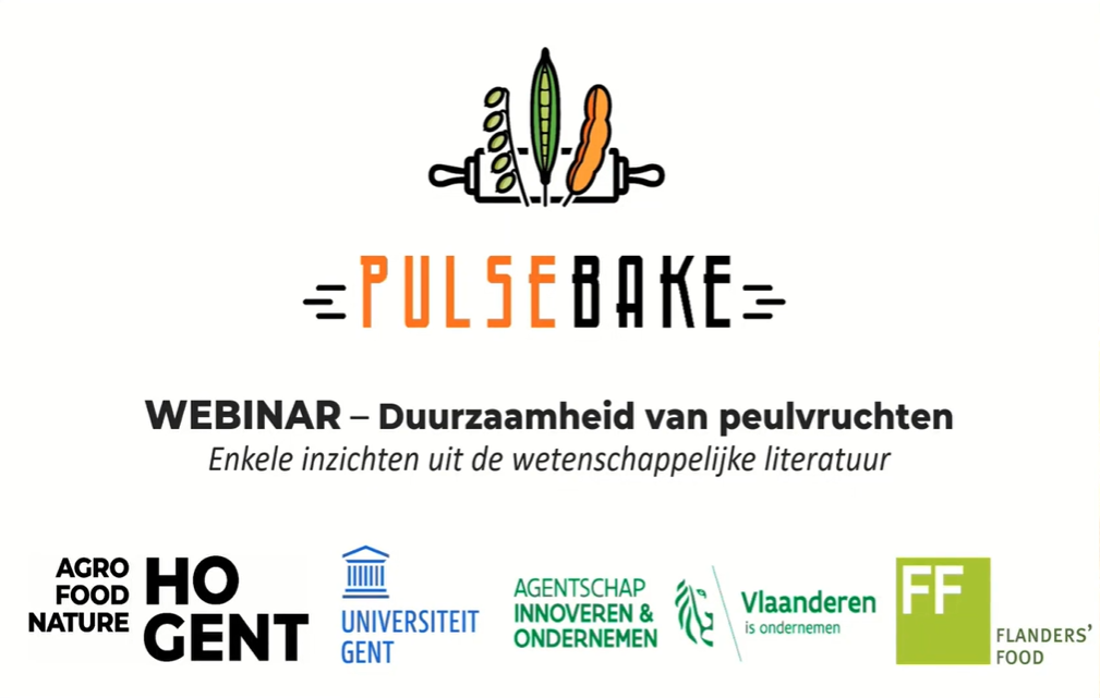 screenshot video pulsebake webinar