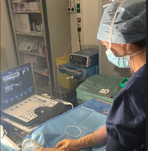 profile picture anja cornelis