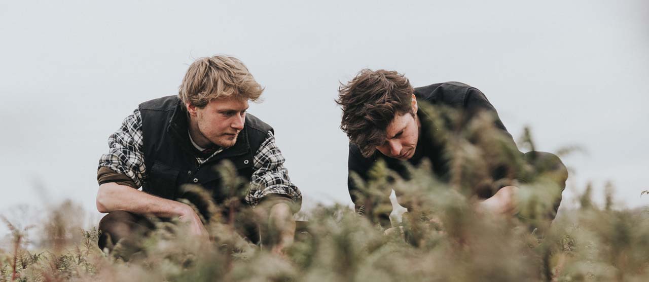 Twee studenten uit de afstudeerrichting landbouw van de bachelor agro- en biotechnologie aan de slag op een proefveld van HOGENT.