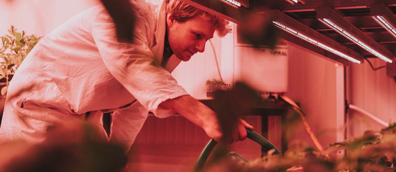 Een landbouwstudent van HOGENT irrigeert planten in een tuinkas.