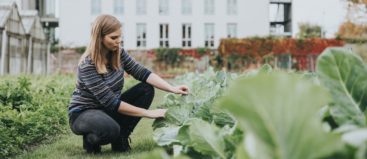 Foto Bachelor in agro-ecologie