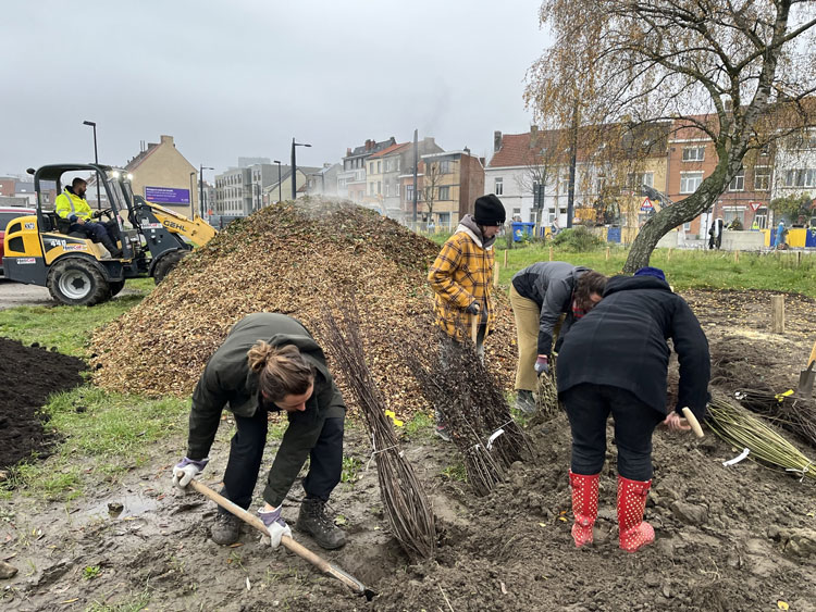 staff members and students planting