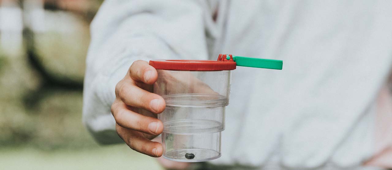 Een meisje ontdekt de wereld van insecten tijdens een buitenles van een student lager onderwijs aan HOGENT.
