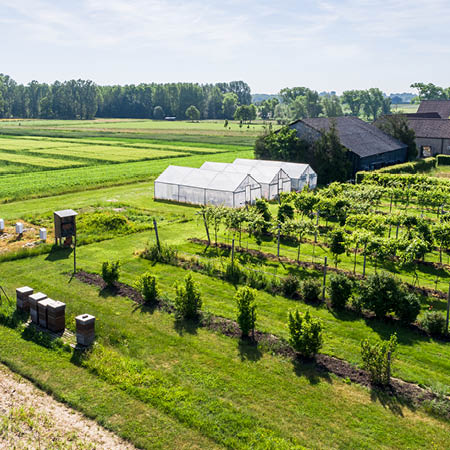 De proefhoeve in Bottelare, waar Giacinto stage liep als onderzoeksmedewerker.