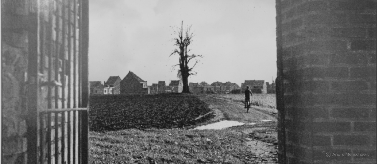 Foto Het verhaal van Dikkelinde